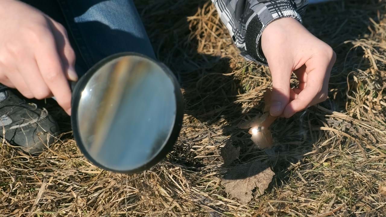 Hånden til en gutt med et forstørrelsesglass som prøver å sette fyr på gresset i gata. Barneeksperimenter i naturen. Solstrålene passerer gjennom forstørrelsesglasset og skaper ild.