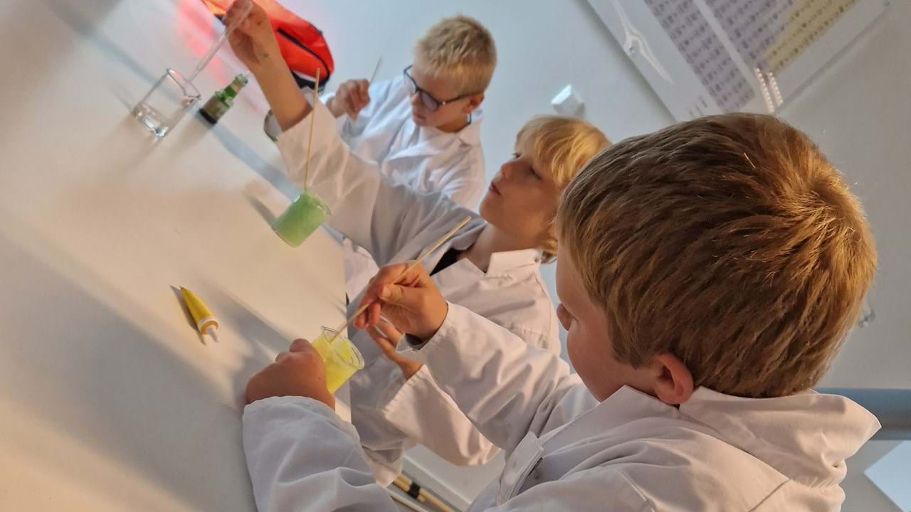 sommerskole bufdir slim