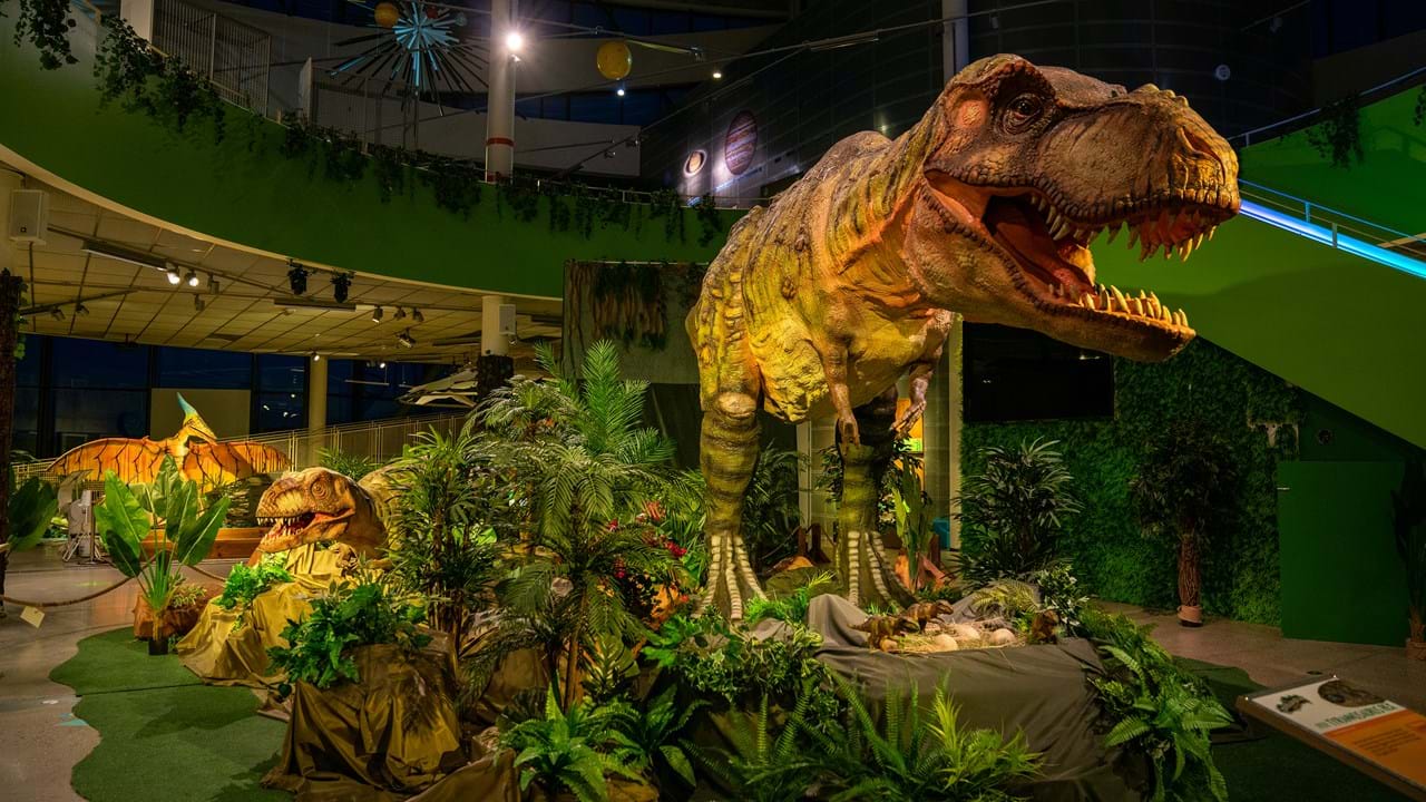 Dinosaur